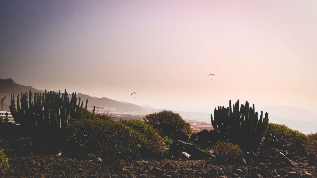 Amazing view of Tenerife