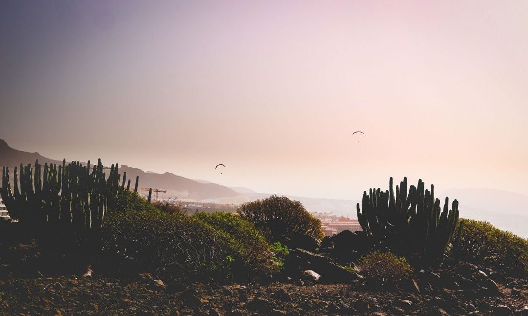 Amazing view of Tenerife