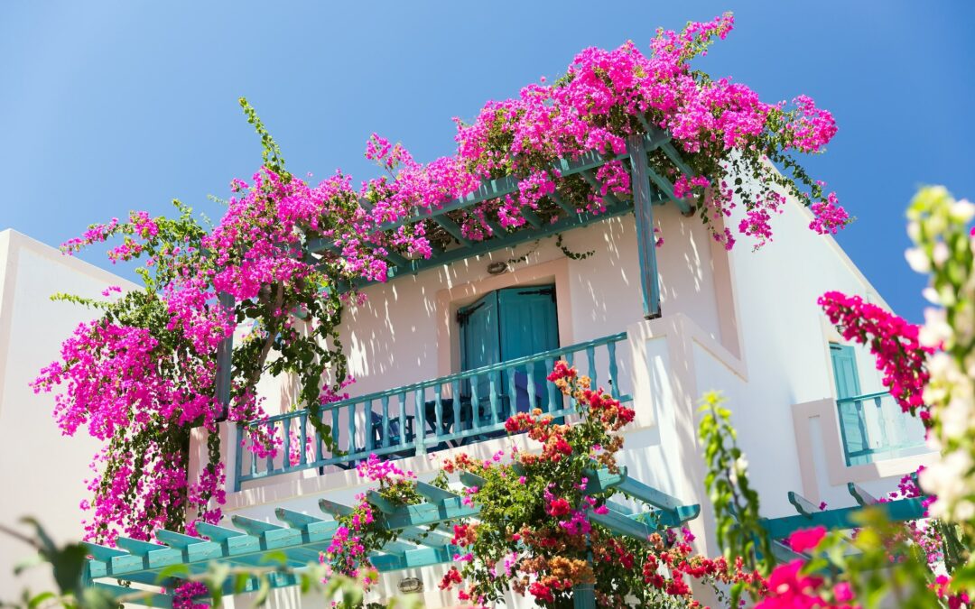 Buy the Perfect Holiday House in Greece !
