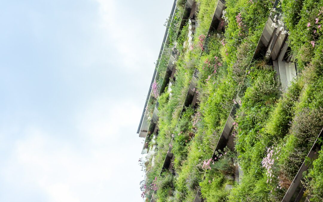 L’impact de l’architecture bioclimatique sur le marché immobilier