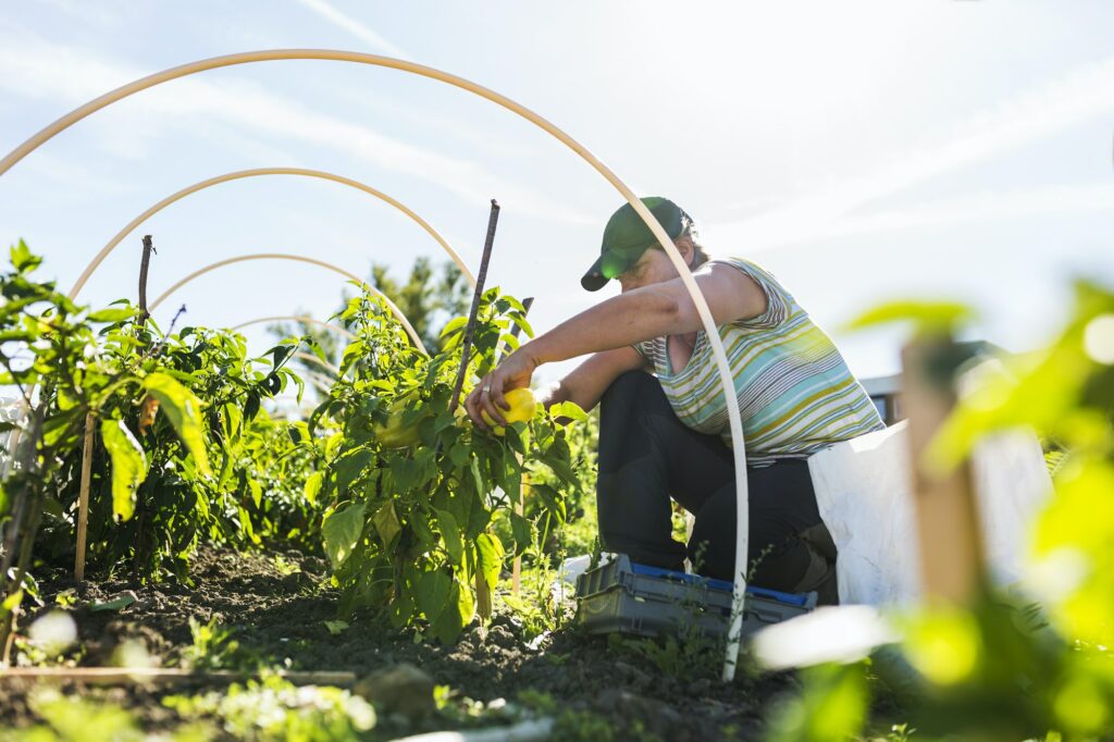 Travailler en échange du gîte et du couvert