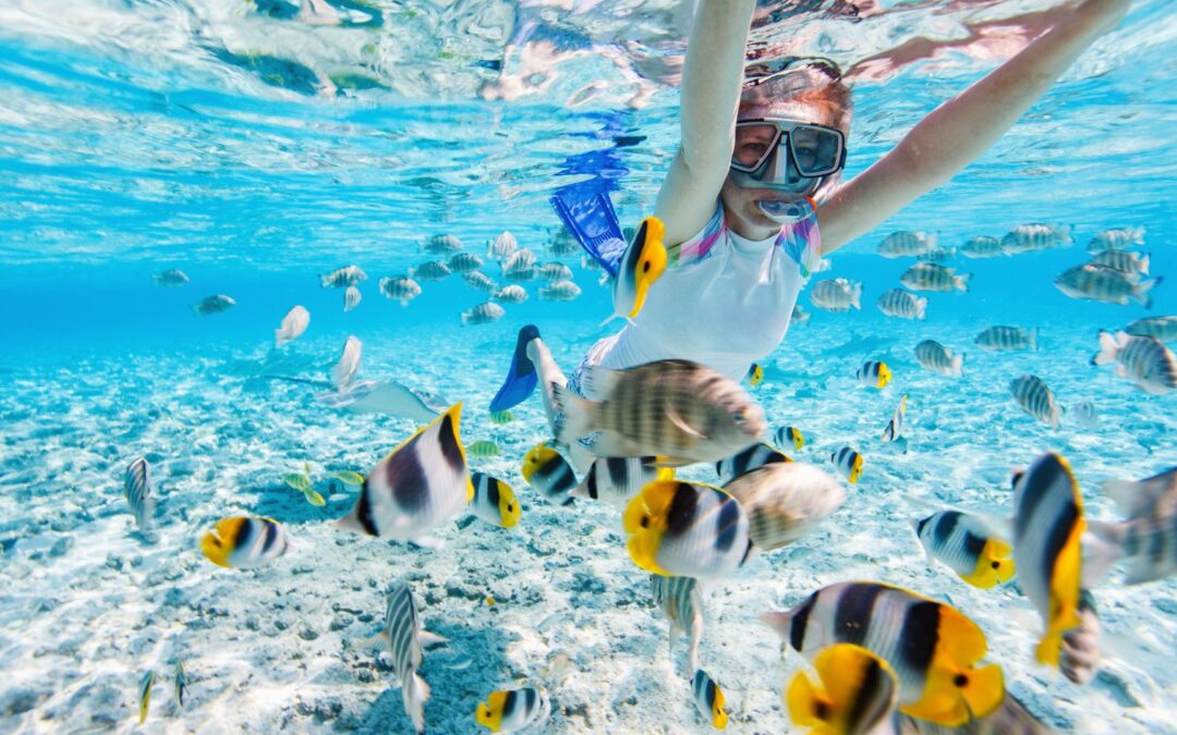 Les meilleures périodes pour réserver un voyage à prix réduit