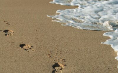 Comment trouver un club de vacances tout compris à petit prix