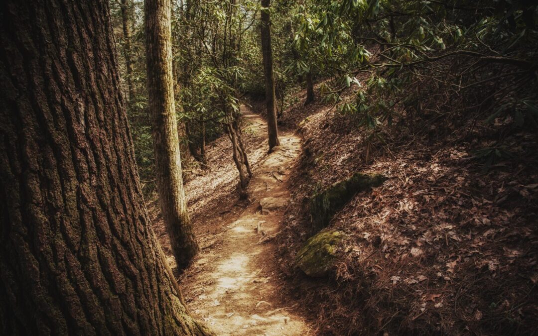 Comment organiser un tour du monde en solo : sécurité et conseils pratiques